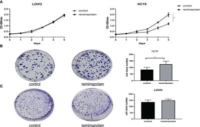 Transcriptomic analysis and experiments revealed that remimazolam promotes proliferation and G1/S transition in HCT8 cells